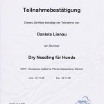 Dry Needling