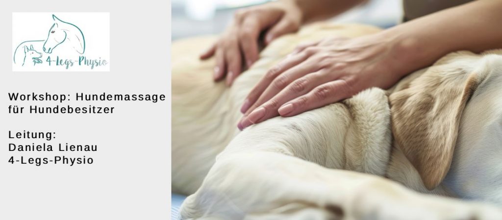 Workshop: Hundemassage für Hundebesitzer